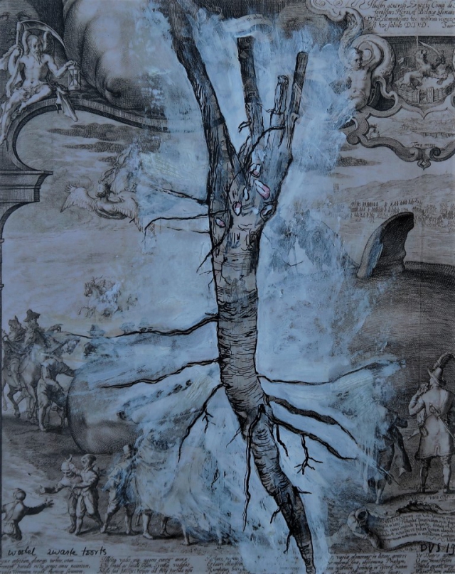 wortel zwarte toorts | 2019 | 20 bij 25 cm