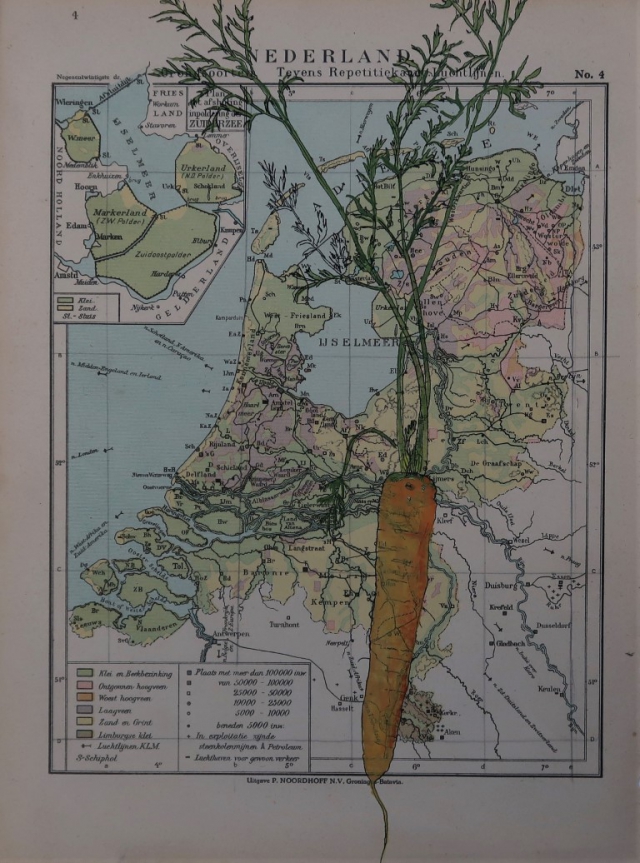 wortel | 2021 | 20 bij 30 cm