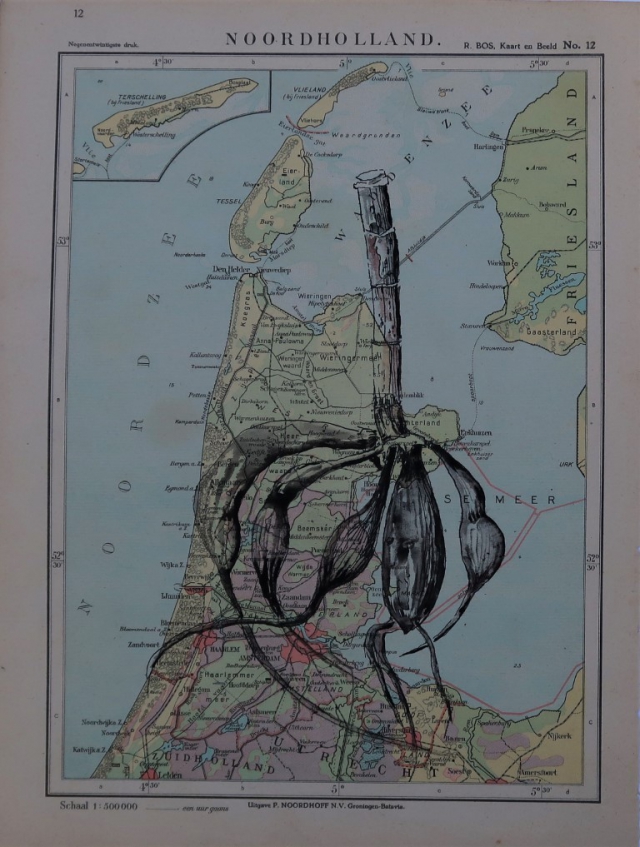  dahliaknol | 2021 | 20 bij 30 cm