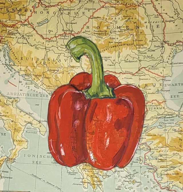 paprika | 2023 | 20 bij 20 | fineliner en gouache 